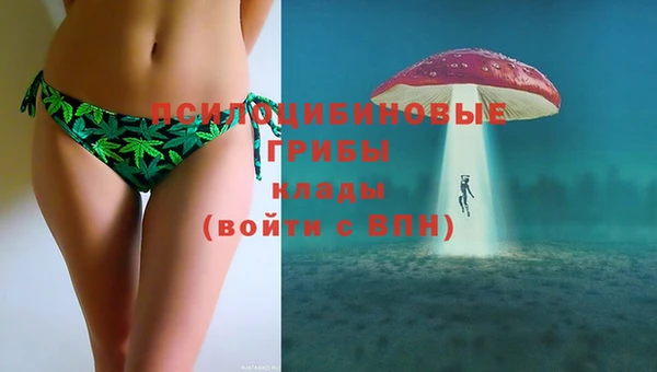 ECSTASY Баксан