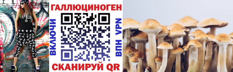 Псилоцибиновые грибы прущие грибы Барабинск
