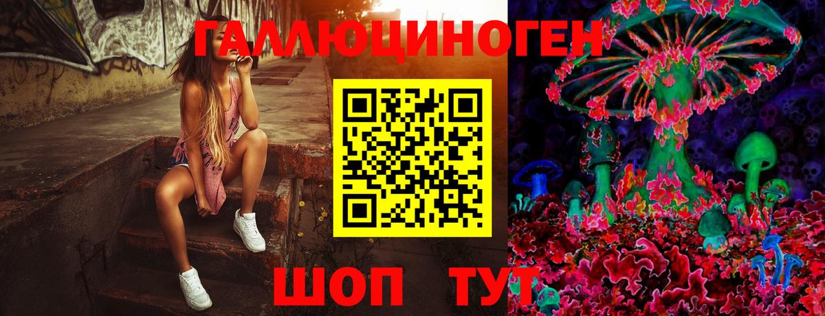 Галлюциногенные грибы GOLDEN TEACHER  Вход с VPN  Барабинск  Галлюциногенные грибы Psilocybe 