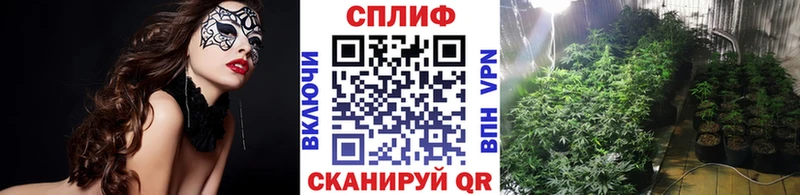 kraken Барабинск Бошки Шишки гибрид